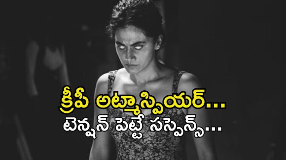 ట్విన్ సిస్టర్ చావు వెనకున్న సీక్రెట్… సైకోకు చుక్కలు చూపించే చూపులేని అమ్మాయి