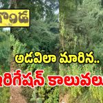 Distributary Canals: నకిరేకల్ మున్సిపాలిటీలో ఘోరం.. ఉదయ సముద్రం కాలువల దయనీయ స్థితి..!