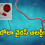 బిగ్ బ్రేకింగ్.. తెలంగాణలో ఎబోలా వైరస్ అలర్ట్..!