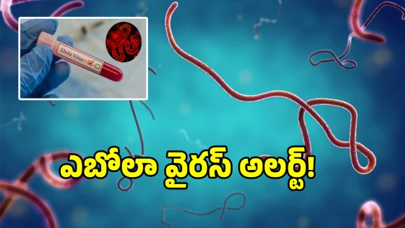 బిగ్ బ్రేకింగ్.. తెలంగాణలో ఎబోలా వైరస్ అలర్ట్..!