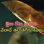 శవాలను బుట్టలో పెట్టి పోలీసులకు లెటర్… డిపార్ట్మెంట్ కు తిన్నకూడు అరక్కుండా చేసే ఇండియన్ సైకో