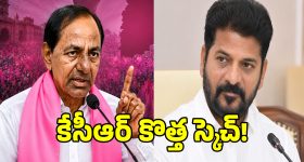 సీలింగ్ vs పెడెస్టల్ ఫ్యాన్.. కూలింగ్ 'కింగ్' ఎవరు? అసలు నిజం ఇదీ!