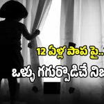 Khammam District: ఖమ్మం బాలిక ఘటనలో సంచలనాలు.. వెలుగులోకి ఒళ్లు గగుర్పొడిచే నిజాలు..!