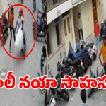 ఊహించని ట్విస్ట్.. మొబైల్ దొంగలపై కూలీ సాహసం.. సోషల్ మీడియాలో వైరల్!