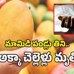 Mango Tragedy: నారాయణగూడలో దారుణం.. మామిడి పండ్లు తిని అక్కాచెల్లెళ్లు మృతి..!