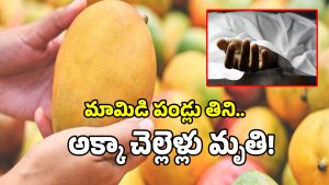 Mango Tragedy: నారాయణగూడలో దారుణం.. మామిడి పండ్లు తిని అక్కాచెల్లెళ్లు మృతి..!
