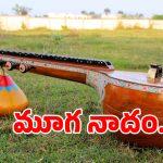 బొబ్బిలి వీణల లొల్లి లేపిన ఎమ్మెల్యే బేబీ నాయన.. అయిన కదలని అటవీ శాఖ ఫైళ్లు!
