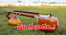 బొబ్బిలి వీణల లొల్లి లేపిన ఎమ్మెల్యే బేబీ నాయన.. అయిన కదలని అటవీ శాఖ ఫైళ్లు!