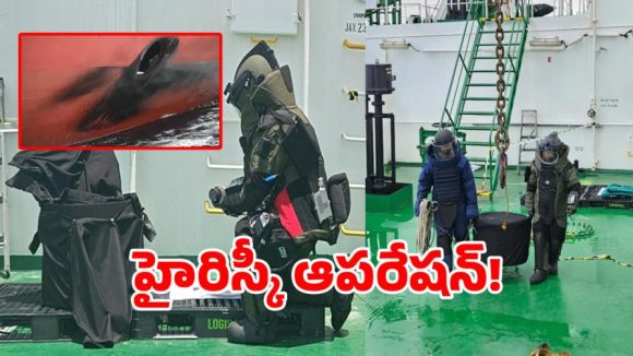 Navy Operation: ఇండియన్ నేవీ సాహసానికి అంతర్జాతీయ ప్రశంసలు.. విదేశీ నౌకకు ఊపిరిపోసిన భారత్!