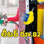 E85 Fuel: సామాన్యుడి జేబుకు ఊరటనిచ్చేలా.. కేంద్రం గుడ్ న్యూస్..?