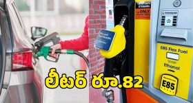 E85 Fuel: సామాన్యుడి జేబుకు ఊరటనిచ్చేలా.. కేంద్రం గుడ్ న్యూస్..?