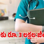 Healthcare Jobs: నెలకు రూ 3 లక్షల జీతం.. జర్మనీ, కువైట్‌లో తెలంగాణ నర్సులకు బంపర్ డిమాండ్!