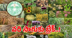 YouTube Shortsలో బిగ్ చేంజెస్.. లైక్ బటన్ స్థానంలో హార్ట్ సింబల్, ఆ ఫీచర్ కంప్లీట్‌గా అవుట్!