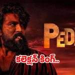 బాక్స్ ఆఫీస్ వద్ద ‘పెద్ది’ ప్రభంజనం: 10 రోజుల్లో రూ. 378 కోట్ల కలెక్షన్లు!