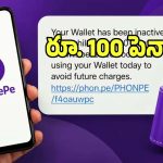 PhonePe Wallet: ఫోన్ పే వాడుతున్న వారికి బిగ్ అలర్ట్.. వాలెట్ వాడకపోతే వంద రూపాయల జరిమానా..?