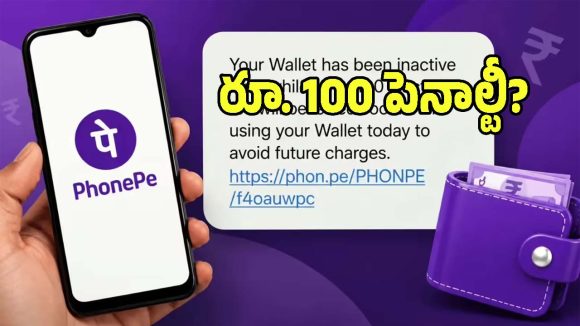 PhonePe Wallet: ఫోన్ పే వాడుతున్న వారికి బిగ్ అలర్ట్.. వాలెట్ వాడకపోతే వంద రూపాయల జరిమానా..?