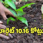 తెలంగాణలో రేవంత్ సర్కార్ హరిత యజ్ఞం.. ఈ ఏడాది లక్ష్యం ఎంతంటే..?
