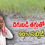 Gypsum Benefits: తెలంగాణ రైతులకు బంపర్ ఆఫర్.. ఆ రకం నేలల పునరుద్ధరణకు 90% సబ్సిడీ..?