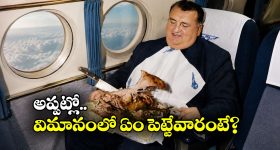ఏంటీ.. విమానంలో టర్కీ కోడి డిన్నరా? 1949లో లగ్జరీ ఏ స్థాయిలో ఉండేదో తెలుసా?