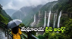 Rashmika Mandanna : ఫ్యాన్స్ కు బిగ్ షాక్.. రష్మిక సినిమాలకు గుడ్ బై చెప్తుందా..?