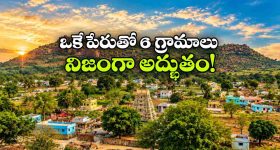 మీ ఇల్లంతా సువాసన, ఫ్రెష్ గాలితో నిండిపోతుంది.. కేవలం ఈ మొక్కలు పెంచితే చాలు