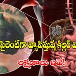 పెంపుడు కుక్కలు, మనుషులే టార్గెట్.. వెలుగులోకి భయంకరమైన ఫాక్స్ టేప్‌వార్మ్!