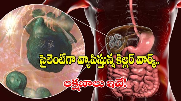 పెంపుడు కుక్కలు, మనుషులే టార్గెట్.. వెలుగులోకి భయంకరమైన ఫాక్స్ టేప్‌వార్మ్!