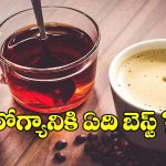 వర్షాకాలంలో టీ మంచిదా? కాఫీనా? నిపుణులు ఏం చెబుతున్నారు?
