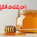 వందల ఏళ్లయినా తేనె ఎందుకు పాడవదు? అసలు సీక్రెట్ తెలిస్తే.. మైండ్ బ్లాకే!