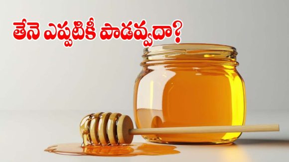 వందల ఏళ్లయినా తేనె ఎందుకు పాడవదు? అసలు సీక్రెట్ తెలిస్తే.. మైండ్ బ్లాకే!