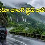 వర్షాకాలంలో..స్వర్గాన్ని తలపించే ఇండియన్ రోడ్స్ ఇవే!