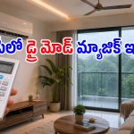 వర్షాకాలంలో ACలో ఉన్న ఈ ఒక్క బటన్ ప్రెస్ చేస్తే.. ఉక్కపోత మాయం, కరెంట్ బిల్లు సగం!
