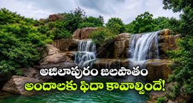 సైలెంట్ గా పెళ్లి చేసుకుని షాక్ ఇచ్చిన బిగ్ బాస్ బ్యూటీ.. వరుడు ఎవరంటే?