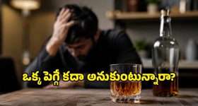 బొద్దింక‌లతో ప‌రాభ‌వం.. ఎంపీల‌ ఘ‌నస్వాగ‌తం..! ప‌దవి పోయినా ప్ర‌ధాని పుర్స‌త్‌..!