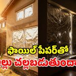 కిటికీలకు అల్యూమినియం ఫాయిల్.. నిజంగానే ఇల్లు చల్లబడుతుందా? సైన్స్ ఏం చెబుతోంది?