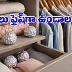 లాండ్రీ డ్రైయర్‌లో అల్యూమినియం ఫాయిల్.. ప్రతి గృహిణీ తెలుసుకోవాల్సిన సీక్రెట్ ట్రిక్!