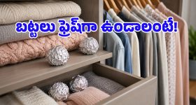 ప్రతిరోజూ 1000 బౌన్సర్లతో నా కొడుకు ప్రాక్టీస్ చేస్తున్నాడు..వైభవ్ తండ్రి సంచ‌ల‌నం