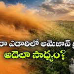 సహారా ఎడారి లేకపోతే అమెజాన్ అడవి ఉండేది కాదా? రెండింటి మధ్య అసలు లింకేంటి?