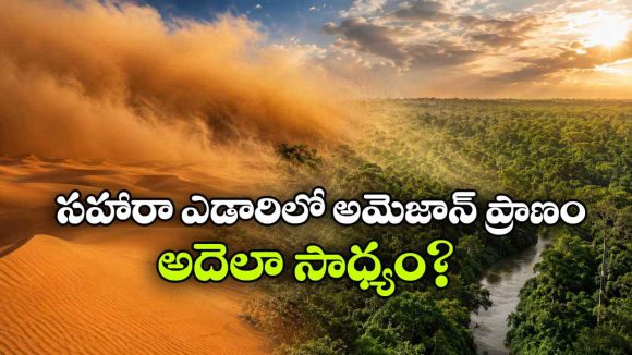 సహారా ఎడారి లేకపోతే అమెజాన్ అడవి ఉండేది కాదా? రెండింటి మధ్య అసలు లింకేంటి?