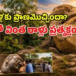 ప్రకృతి చెక్కిన శిల్పాలు.. సూర్యాపేట గుట్టల్లో అద్భుతం.. చూసేందుకు క్యూ కట్టిన జనం!