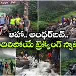 పచ్చని అడవులు.. గలగల పారే జలపాతాలు.. హైదరాబాద్ నుంచి అదిరిపోయే మాన్సూన్ ట్రిప్!
