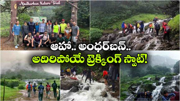 పచ్చని అడవులు.. గలగల పారే జలపాతాలు.. హైదరాబాద్ నుంచి అదిరిపోయే మాన్సూన్ ట్రిప్!