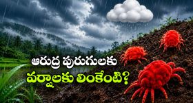 ఫర్నిచర్ షోరూమ్‌లో తీయకూడని తలుపు... లోపలికెళ్తే అంతులేని వింత మిస్టరీ