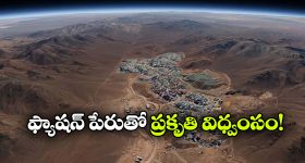 ఫ్రిడ్జ్ డోర్‌పై అయస్కాంతాలు.. కరెంట్ బిల్లుపై పడే ప్రభావం ఎంత? నిజానిజాలివే!