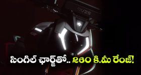 ప్రేమ, పెళ్లి ప్రాధాన్యం కాదు.. ఈ తేదీల్లో పుట్టినవారికి కెరీర్ విజయమే ముఖ్యం