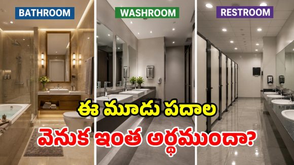 బాత్‌రూమ్, వాష్‌రూమ్, రెస్ట్‌రూమ్.. ఈ మూడు ఒకటి కాదా? ఏ పదం ఎప్పుడు వాడాలి?