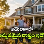 అమెరికాలో సెటిల్ అవ్వాలంటే.. ఈ 5 రాష్ట్రాలు బెస్ట్.. ఎందుకంటే?