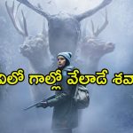 వరుస మర్డర్స్ తో వణికిపోయే ఊరు… వర్త్ వాచింగ్ థ్రిల్లర్ మావా