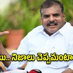 భోగాపురం ఎయిర్‌పోర్ట్‌పై బొత్స హాట్ కామెంట్స్.. చంద్రబాబుకు నేరుగా సవాల్!