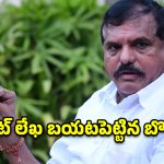 డీఎస్సీ లీకులు.. విద్యాదీవెనకు దిక్కులేదు.. కూటమి పాలనపై బొత్స సంచలన కామెంట్స్!